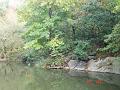 NJ_NY 210